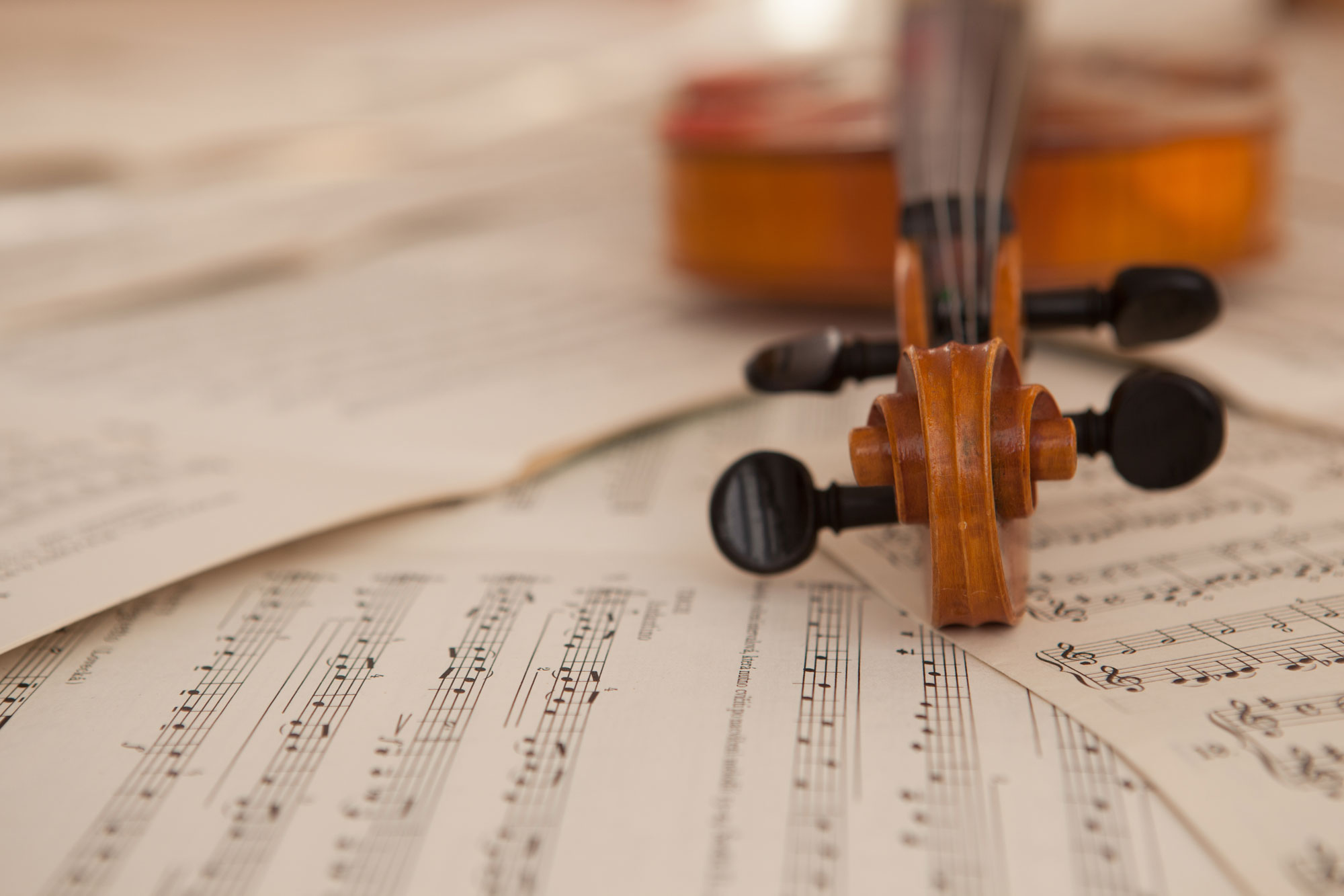 Violin and music